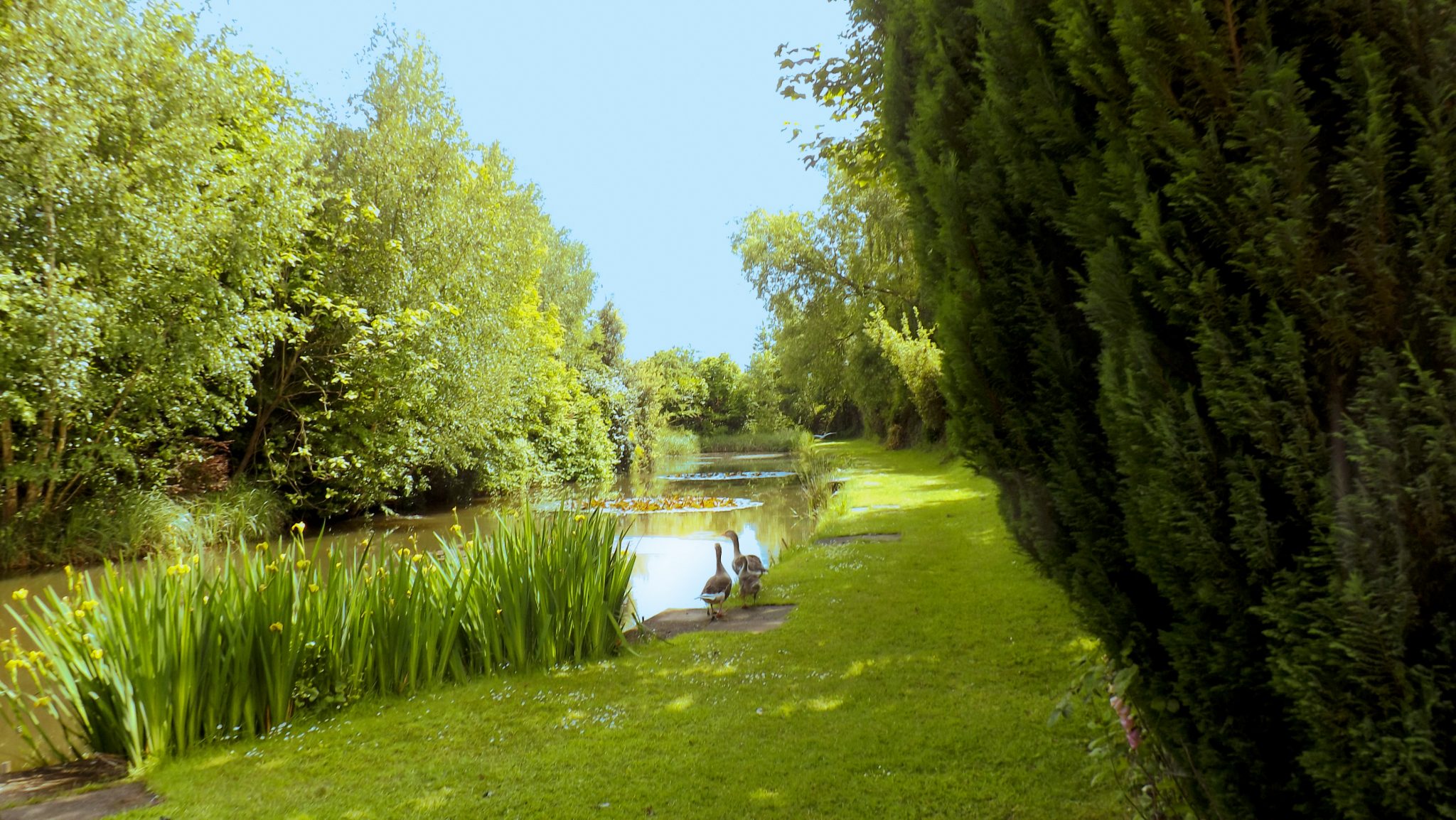 Blyton Ponds